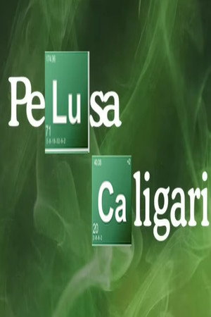 Pelusa Caligari 2. évad (2012-05-30) poszter