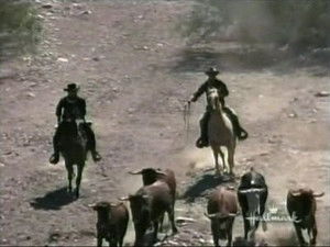 The High Chaparral 1. évad Ep.7 7. epizód