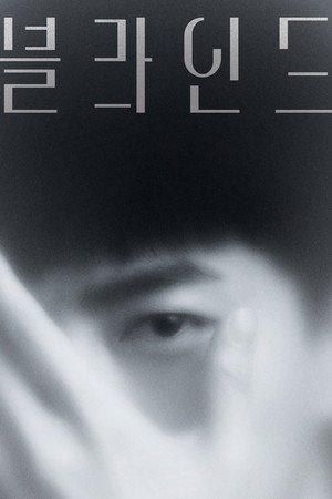 블라인드 poszter