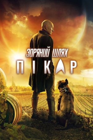 Star Trek: Picard poszter