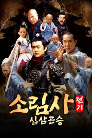 少林寺传奇 poszter