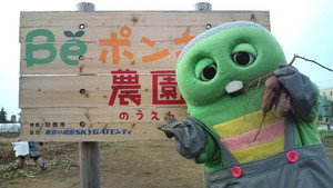 Beポンキッキ kép