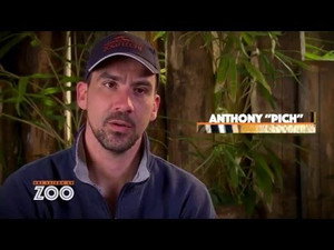 Une saison au zoo 5. évad Ep.27 27. epizód