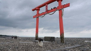 A Cat's-Eye View of Japan 4. évad Ep.2 2. epizód