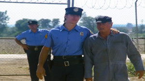 Dallas 12. évad Ep.5 Útépítés