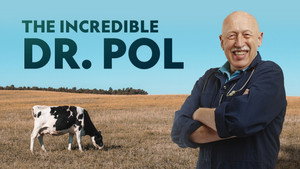 Dr. Pol állatklinikája kép