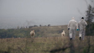 Reported Missing 3. évad Ep.4 4. epizód