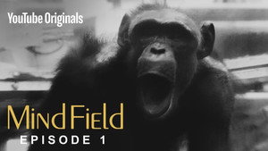 Mind Field 3. évad Ep.1 1. epizód