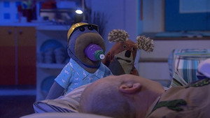 Bear Behaving Badly 1. évad Ep.1 1. epizód