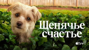 Kutyuskuckó kép