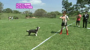 ハロー！モーニング 1. évad Ep.330 330. epizód