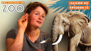 Une saison au zoo 6. évad Ep.12 12. epizód
