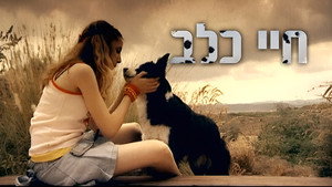חיי כלב kép