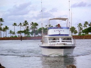 Hawaii Five-O 9. évad Ep.10 10. epizód