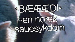 Fjærsynet 1. évad Ep.6 6. epizód