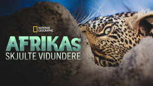 Afrika rejtett királyságai kép