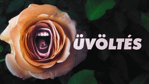 Üvöltés kép