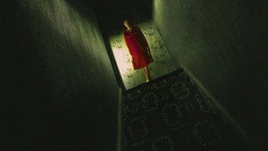 The Enfield Poltergeist kép