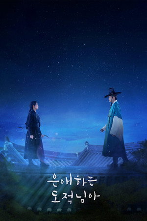 은애하는 도적님아 poszter