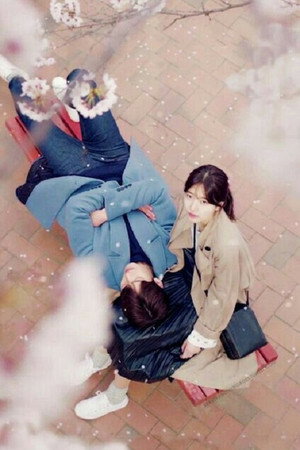 함부로 애틋하게 poszter