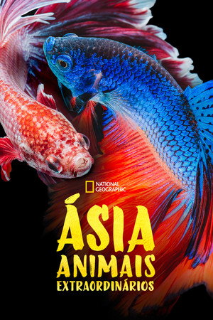 Asia's Weirdest poszter