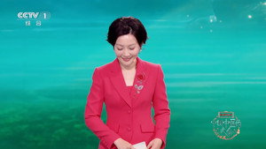 中国中医药大会 1. évad Ep.3 3. epizód