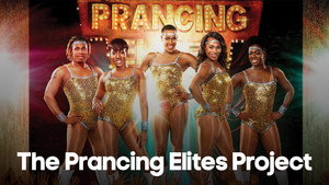 The Prancing Elites Project kép