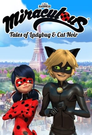 Miraculous Katicabogár és Fekete Macska kalandjai poszter