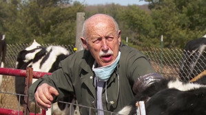 Dr. Pol állatklinikája 20. évad Ep.3 3. epizód