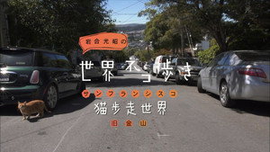 岩合光昭の世界ネコ歩き 1. évad Ep.52 52. epizód