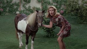 Bewitched 4. évad Ep.13 13. epizód