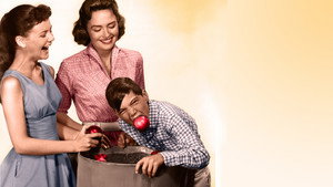 The Donna Reed Show kép