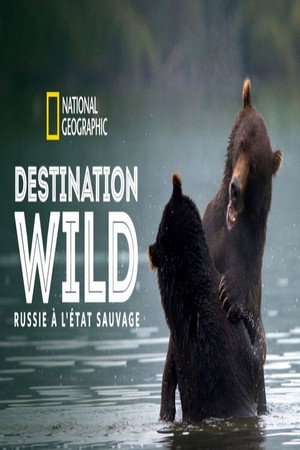 Wild Edens Russia poszter