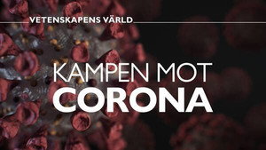 Vetenskapens värld 46. évad Ep.12 12. epizód