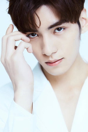 文淵 profil kép