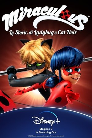 Miraculous Katicabogár és Fekete Macska kalandjai poszter