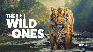 The Wild Ones kép