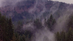 Twin Peaks Speciális epizódok Ep.107 107. epizód