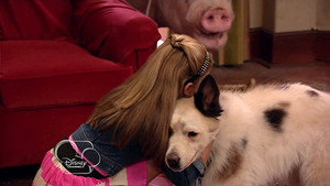 Dog with a Blog 1. évad Ep.3 3. epizód