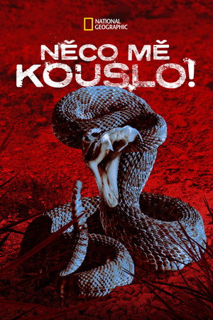 Támad a vadon poszter