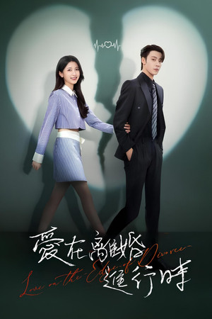 爱在离婚进行时 poszter
