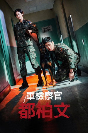 군검사 도베르만 poszter