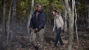 The Walking Dead 2. évad Ep.12 Jobbik természetünk
