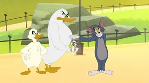 Tom és Jerry New Yorkban 1. évad Ep.1 1. epizód