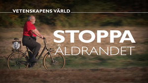 Vetenskapens värld 48. évad Ep.33 33. epizód
