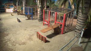 Big Brother 21. évad Ep.21 21. epizód