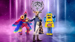 The Masked Singer kép