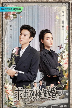 求求了，快复婚吧 poszter