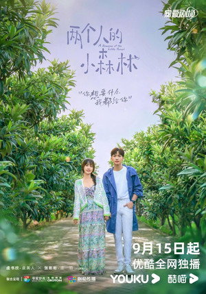 两个人的小森林 poszter