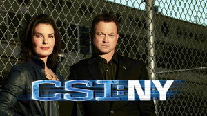 CSI: New York-i helyszínelők kép